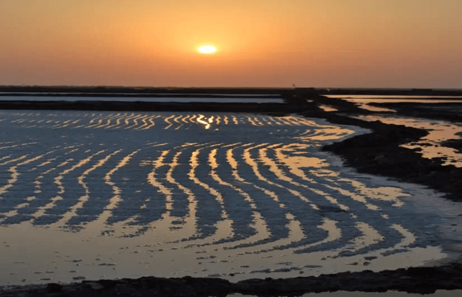 Heritage Salt Producers from Gujarat – India